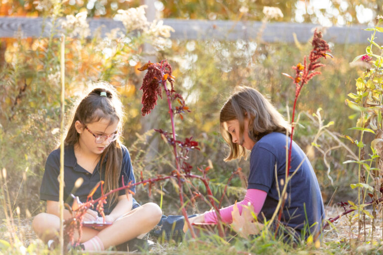 Girls exploring nature, drawing amidst vibrant plants in a serene outdoor setting.