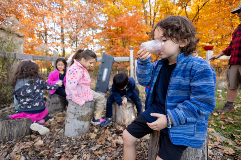 Children enjoying outdoor autumn activities among colorful fall leaves and joyful camaraderie.