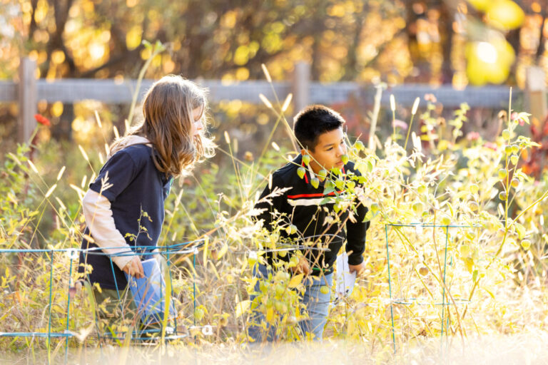 Children exploring a vibrant garden, experiencing natures beauty and wonder during sunlight.