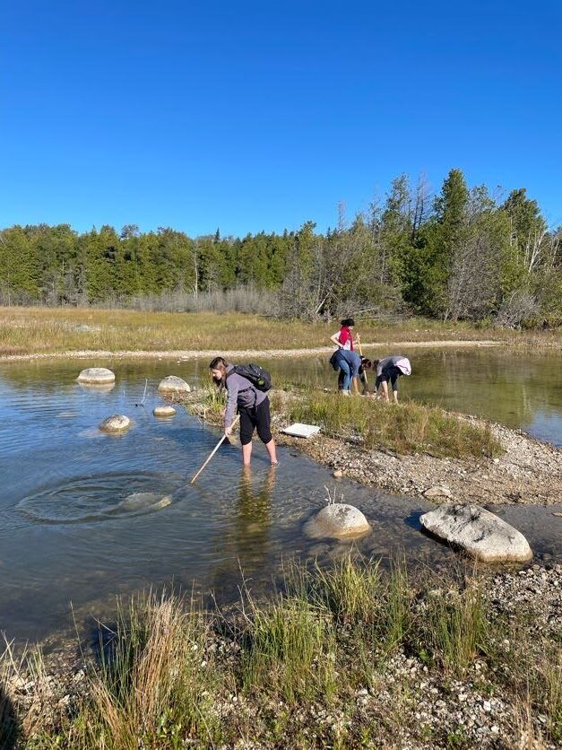 People exploring a vibrant wetlands area, discovering aquatic life in a sunny natural setting.
