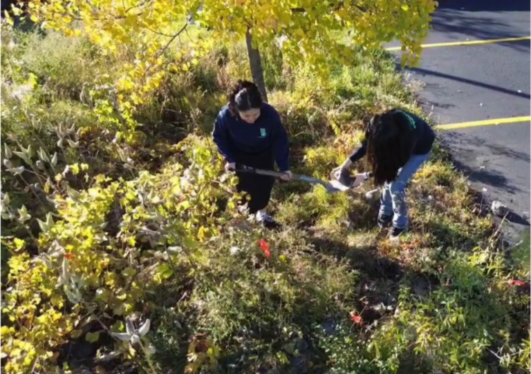 Individuals gardening in a vibrant autumn landscape, restoring a neglected area with care.