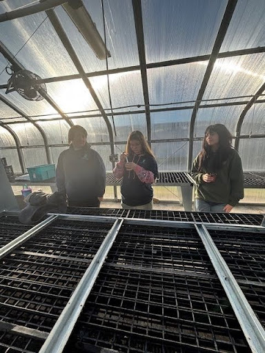People collaborate in a bright greenhouse, surrounded by plants and organized shelving units.